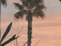 249-16-01-2026 IMG_3454